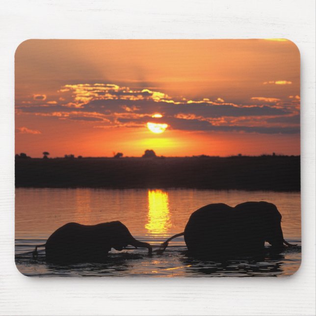 Africa, Botswana, Chobe National Park, Herd Mouse Pad (Front)