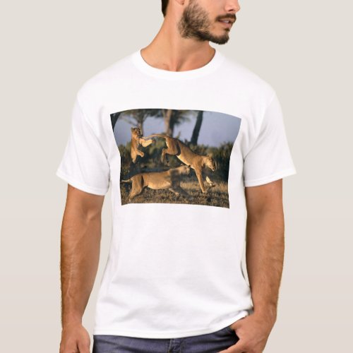 Africa Botswana Chobe National Park Lionesses T_Shirt