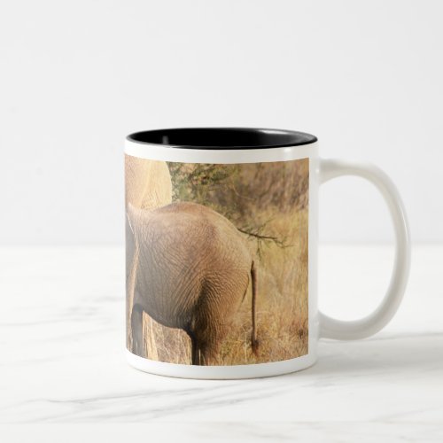 Africa Botswana Moremi Elephant nursing Two_Tone Coffee Mug