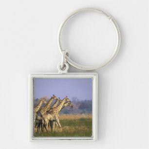 Africa, Botswana, Moremi Game Reserve Keychain