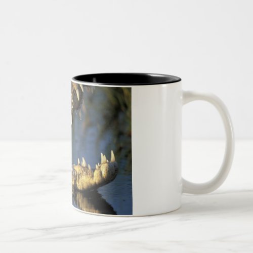 Africa Botswana Moremi Game Reserve Nile Two_Tone Coffee Mug