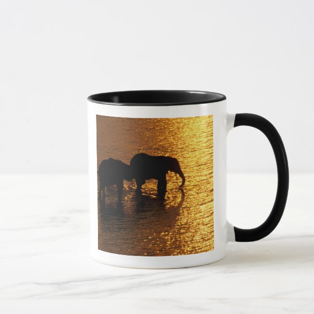 Africa, Botswana, Okavango Delta. African Mug (Right)