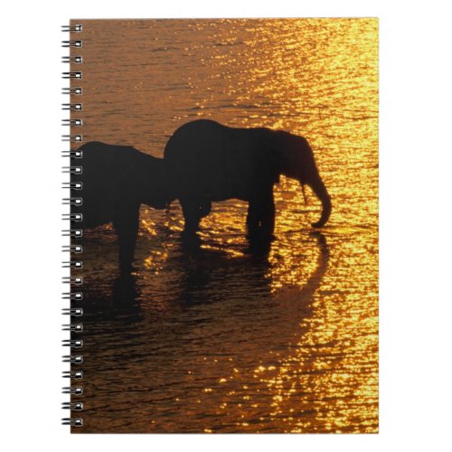 Africa Botswana Okavango Delta African Notebook