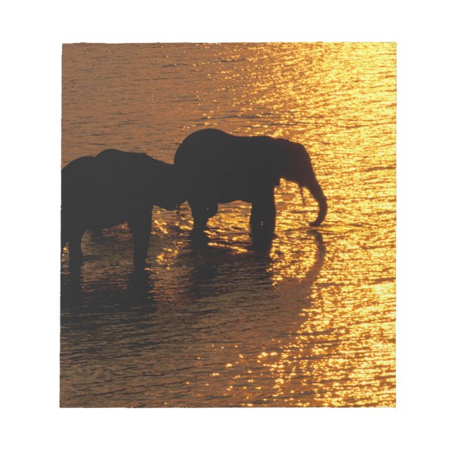 Africa, Botswana, Okavango Delta. African Notepad (Front)