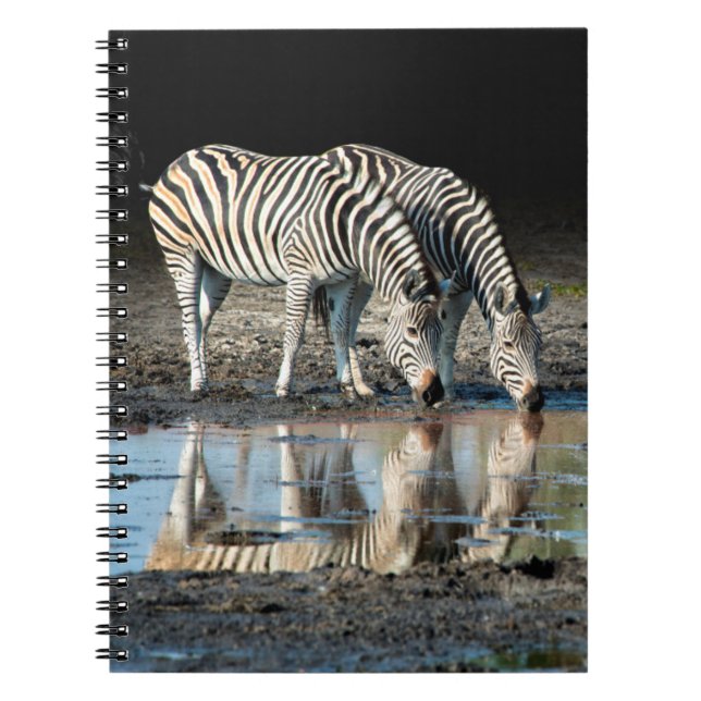 Africa,Botswana, Okavango Delta, Davison Camp Notebook (Front)