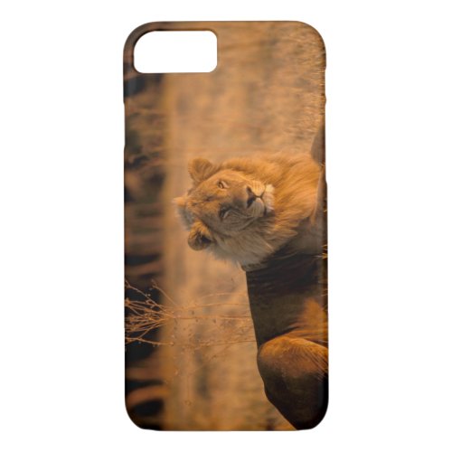 Africa Botswana Okavango Delta Lion Panthera iPhone 87 Case