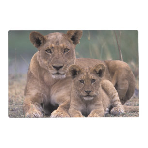 Africa, Botswana, Okavango Delta. Lions Placemat