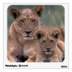 Africa, Botswana, Okavango Delta. Lions Wall Sticker