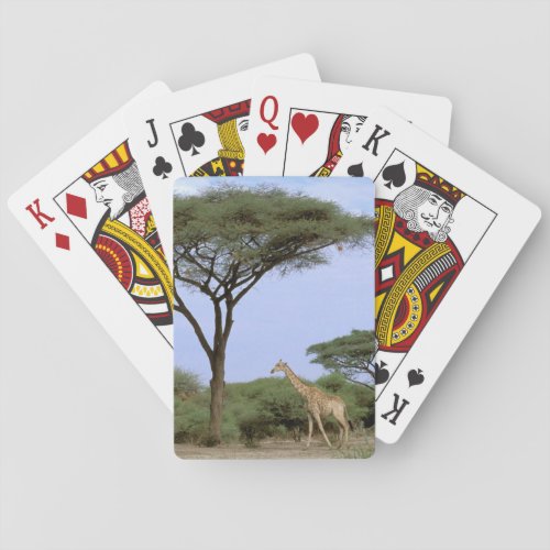 Africa Botswana Okavango Delta Southern Playing Cards