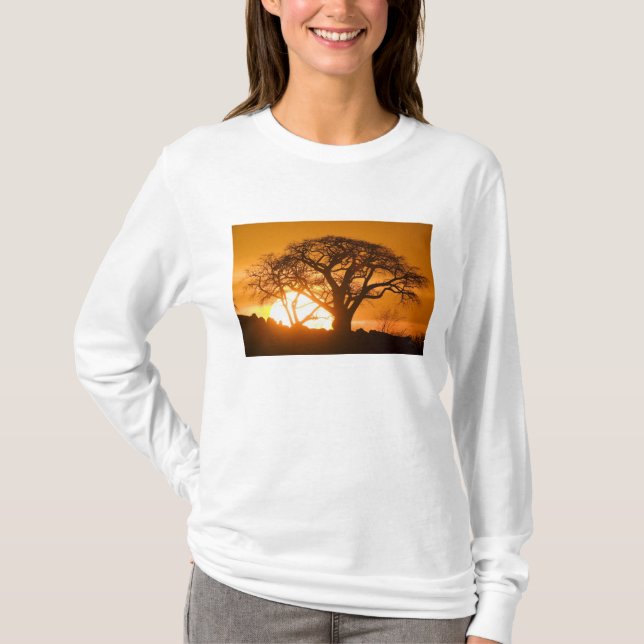 Africa, Botswana, Setting sun silhouettes Baobab T-Shirt (Front)