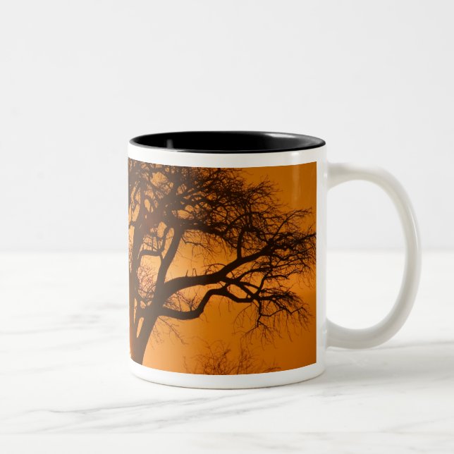 Africa, Botswana, Setting sun silhouettes Baobab Two-Tone Coffee Mug (Right)