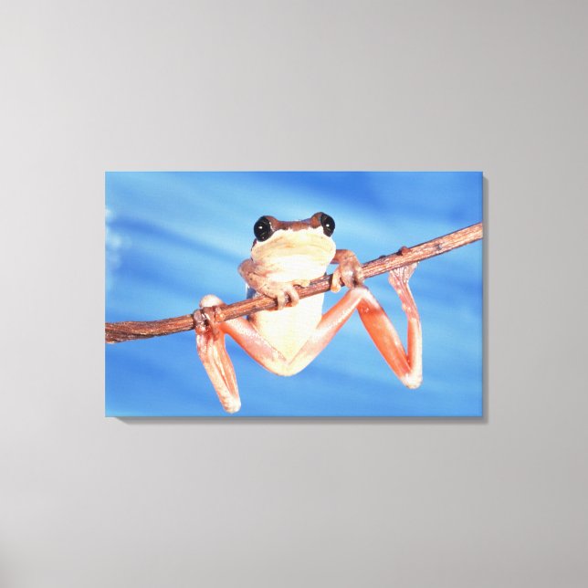 Africa Canvas Print (Front)