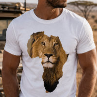 Africa Continent African Lion Animal