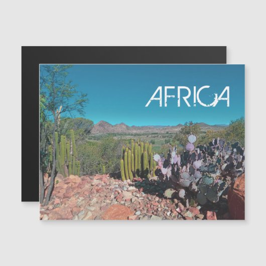 Africa Desert Landscape Nature Cactus Plant Magnet (Front/Back)