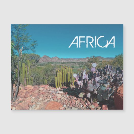 Africa Desert Landscape Nature Cactus Plant Magnet (Front)