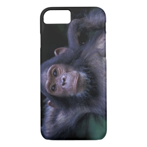 Africa East Africa Tanzania Gombe National 3 iPhone 87 Case
