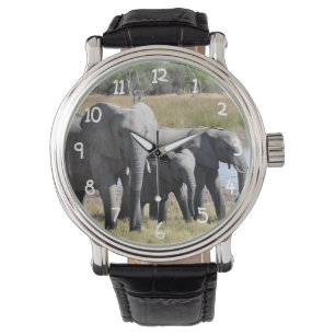 Africa Elephant Herds Watch
