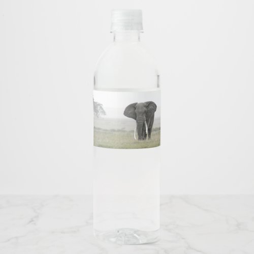 Africa _ Elephant Water Bottle Label
