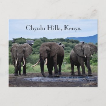 Africa Elephants Kenya  Chyulu Hills Postcard by Rebecca_Reeder at Zazzle