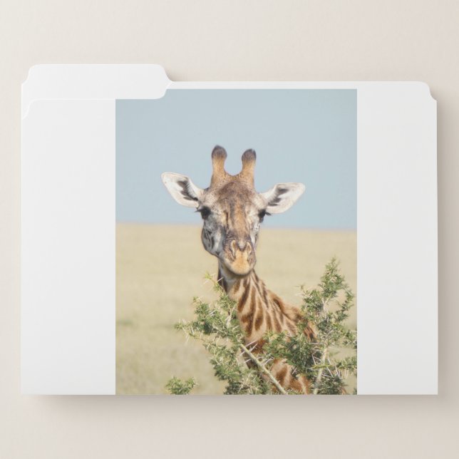 Africa - Giraffe 2 File Folder (Front Left)