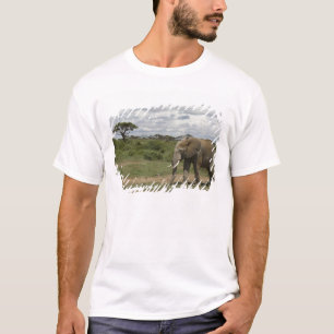 Africa, Kenya, Amboseli National Park, elephant, T-Shirt