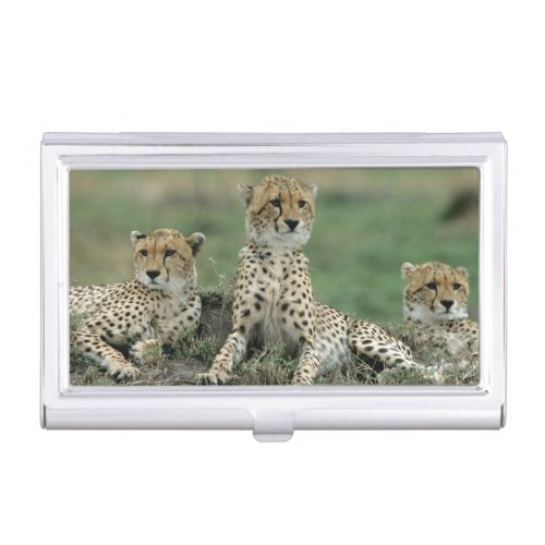 Africa Kenya Cheetahs Business Card Case