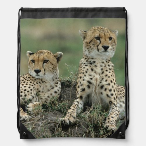 Africa Kenya Cheetahs Drawstring Bag