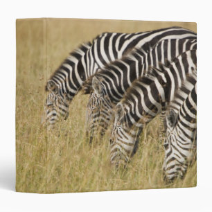 Africa, Kenya, Maasai Mara 3 Ring Binder