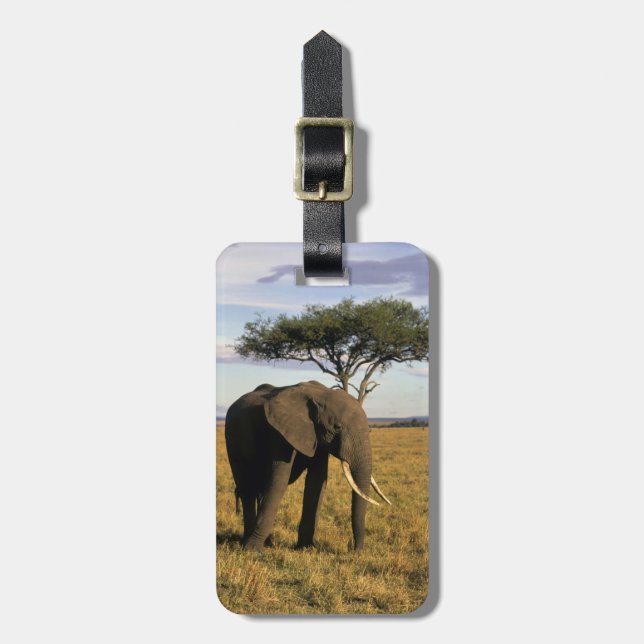 Africa, Kenya, Maasai Mara. An elehpant in the Luggage Tag (Front Vertical)