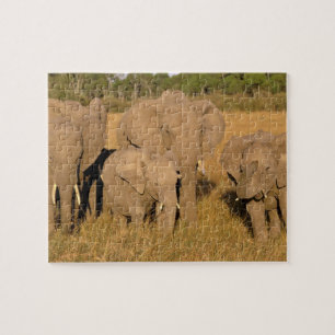 Africa, Kenya, Masai Mara. African Elephant Jigsaw Puzzle