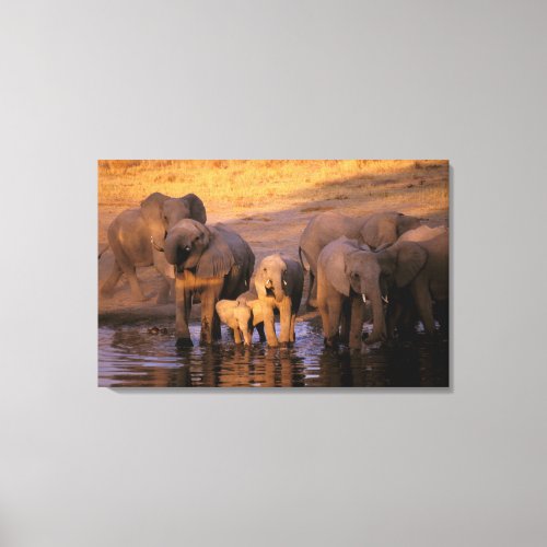 Africa Kenya Masai Mara Elephants Loxodonta Canvas Print