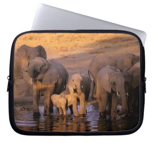 Africa Kenya Masai Mara Elephants Loxodonta Laptop Sleeve
