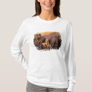 Africa, Kenya, Masai Mara. Elephants (Loxodonta T-Shirt