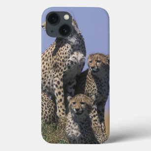 Africa, Kenya, Masai Mara Game Reserve, Adult 4 iPhone 13 Case