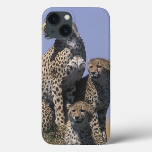 Africa Kenya Masai Mara Game Reserve Adult 4 iPhone 13 Case