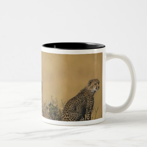 Africa Kenya Masai Mara Game Reserve Adult 5 Two_Tone Coffee Mug