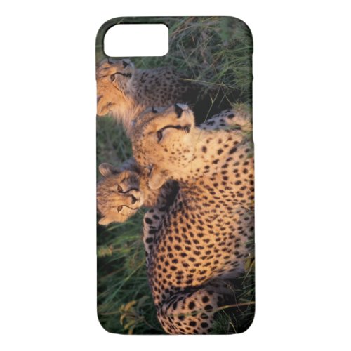 Africa Kenya Masai Mara Game Reserve Cheetah 2 iPhone 87 Case