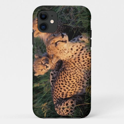 Africa Kenya Masai Mara Game Reserve Cheetah 2 iPhone 11 Case