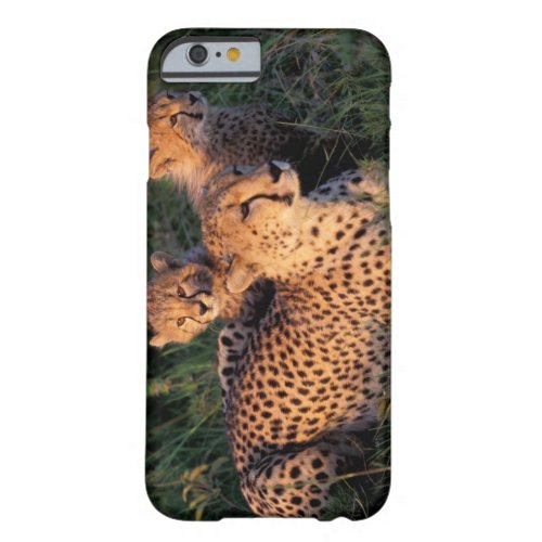 Africa Kenya Masai Mara Game Reserve Cheetah 2 Barely There iPhone 6 Case