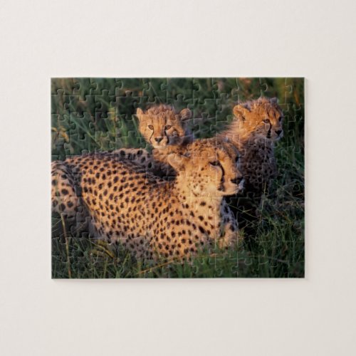 Africa Kenya Masai Mara Game Reserve Cheetah 2 Jigsaw Puzzle