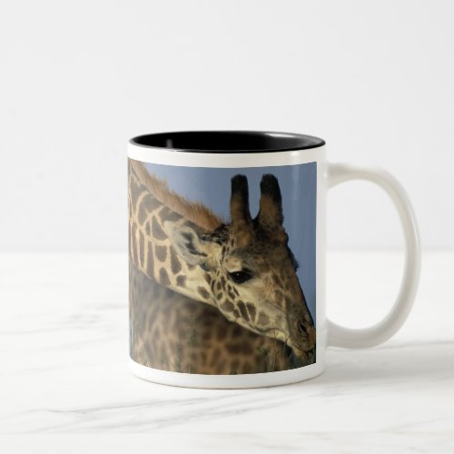 Africa Kenya Masai Mara Game Reserve Giraffes Two_Tone Coffee Mug
