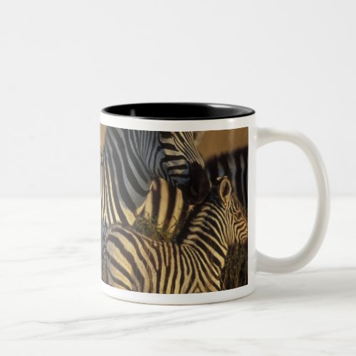 Africa Kenya Masai Mara Game Reserve Plains Two_Tone Coffee Mug