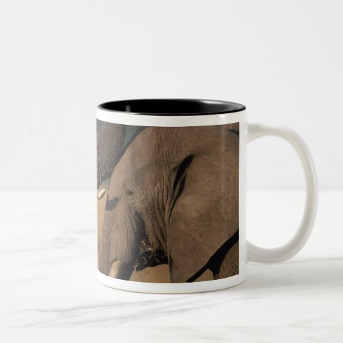 Africa Kenya Masai Mara Game Reserve Two Bull Two_Tone Coffee Mug