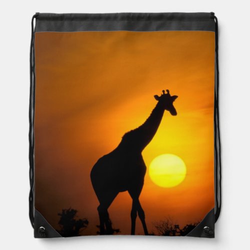 Africa Kenya Masai Mara Giraffe Giraffe Drawstring Bag