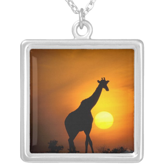 Africa, Kenya, Masai Mara. Giraffe (Giraffe Silver Plated Necklace (Front)
