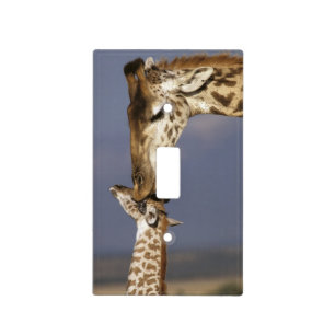 Africa, Kenya, Masai Mara. Giraffes (Giraffe Light Switch Cover