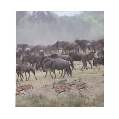 Africa Kenya Masai Mara Herds of Gazelle Notepad