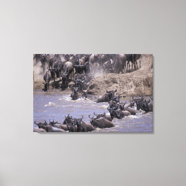 Africa, Kenya, Masai Mara National Park. Canvas Print (Front)