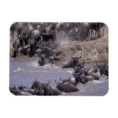 Africa Kenya Masai Mara National Park Magnet