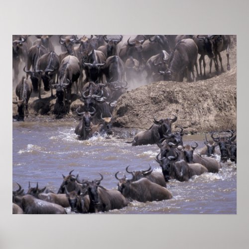Africa Kenya Masai Mara National Park Poster